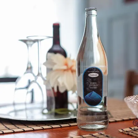 Apartament Casa Emblematica 