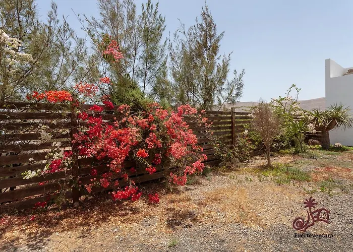 Appartement Casa Emblematica 